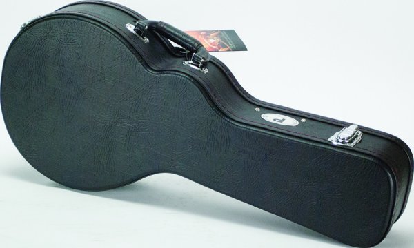 Mandolin Case